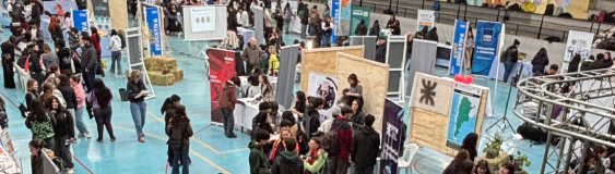 foto acto
