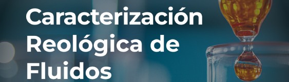 foto acto