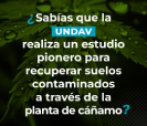 imagen nota 1